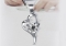 Подвеска Crystal~Swarovski арт.2493