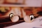 Серьги позолота 18K арт.5002